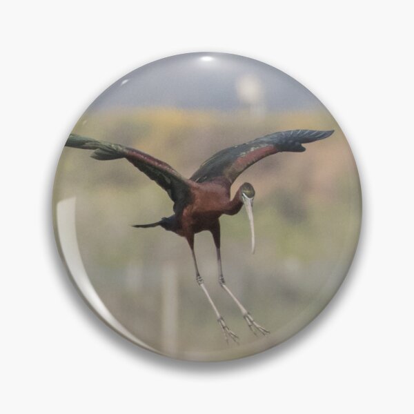 Item preview, Glossy Ibis designed and sold by LaurenTucker.