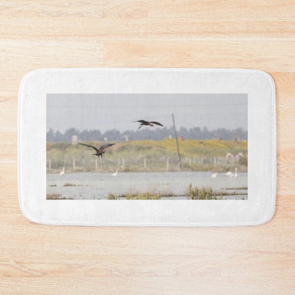 Item preview, Glossy Ibis designed and sold by LaurenTucker.