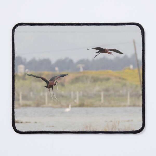 Item preview, Glossy Ibis designed and sold by LaurenTucker.