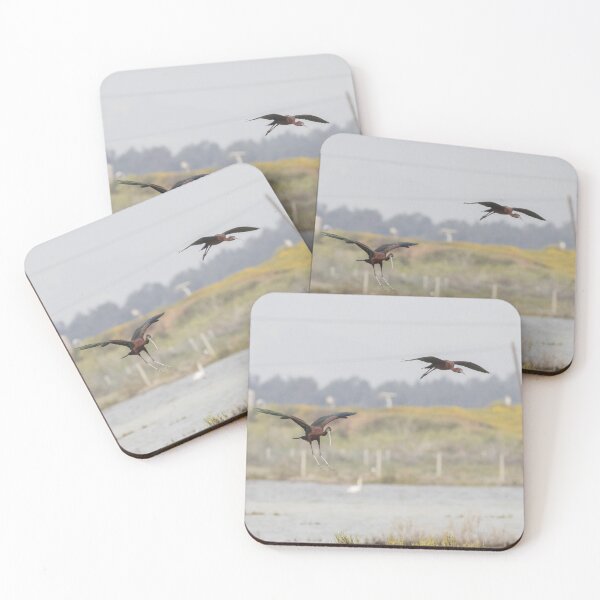 Item preview, Glossy Ibis designed and sold by LaurenTucker.