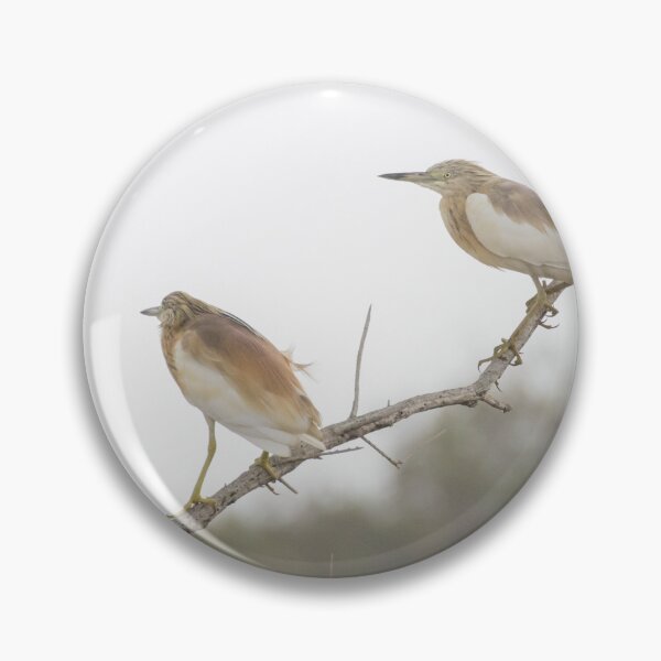 Item preview, Squacco Heron designed and sold by LaurenTucker.