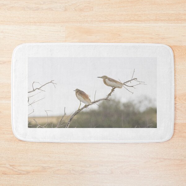 Item preview, Squacco Heron designed and sold by LaurenTucker.