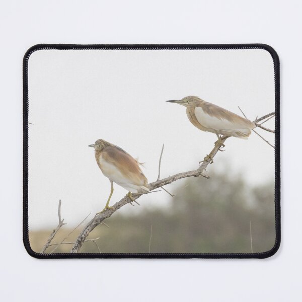 Item preview, Squacco Heron designed and sold by LaurenTucker.