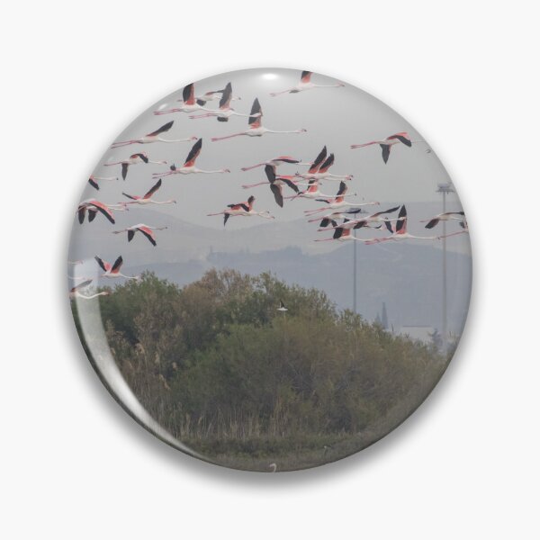 Item preview, Greater Flamingo designed and sold by LaurenTucker.