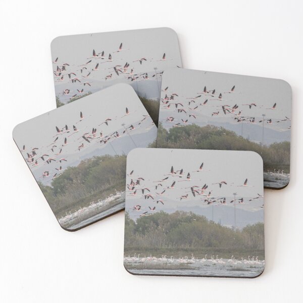 Item preview, Greater Flamingo designed and sold by LaurenTucker.