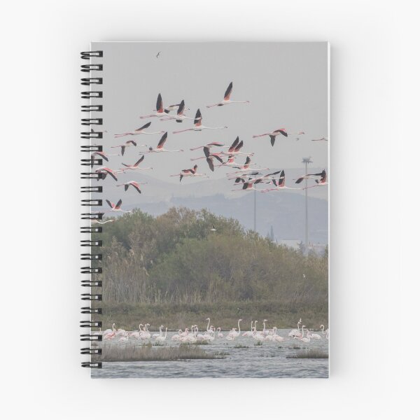Item preview, Greater Flamingo designed and sold by LaurenTucker.