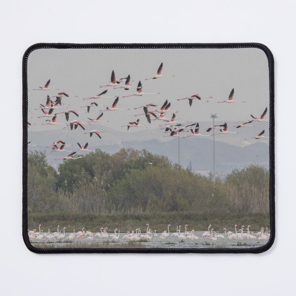 Item preview, Greater Flamingo designed and sold by LaurenTucker.
