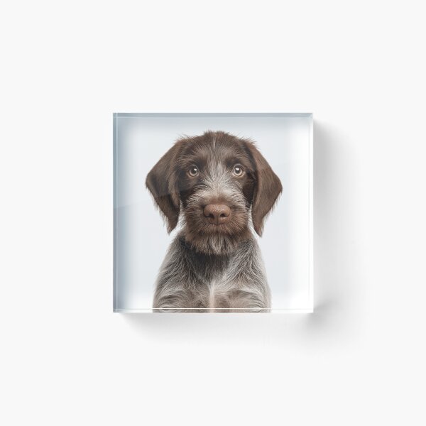 Item preview, Adorable Wirehaired Pointing Griffon Pup for Cute Wirehaired Pointing Griffon puppy lovers designed and sold by LazyOwlStore.