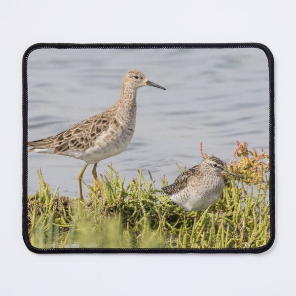 Item preview, Wood Sandpiper & Ruff designed and sold by LaurenTucker.