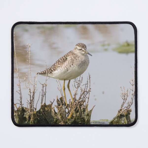 Item preview, Wood Sandpiper designed and sold by LaurenTucker.
