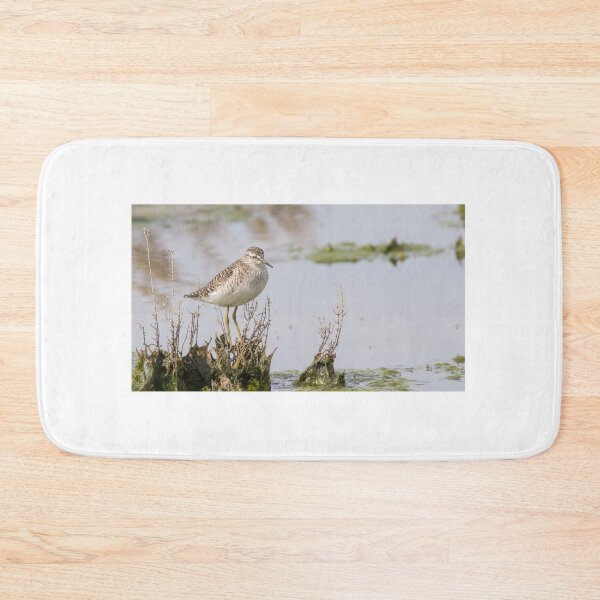 Item preview, Wood Sandpiper designed and sold by LaurenTucker.