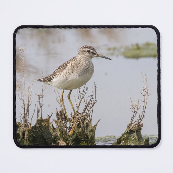 Item preview, Wood Sandpiper designed and sold by LaurenTucker.