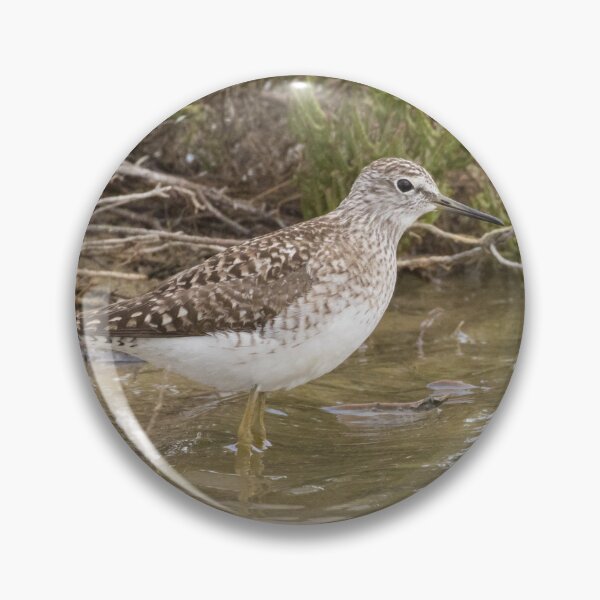 Item preview, Wood Sandpiper designed and sold by LaurenTucker.