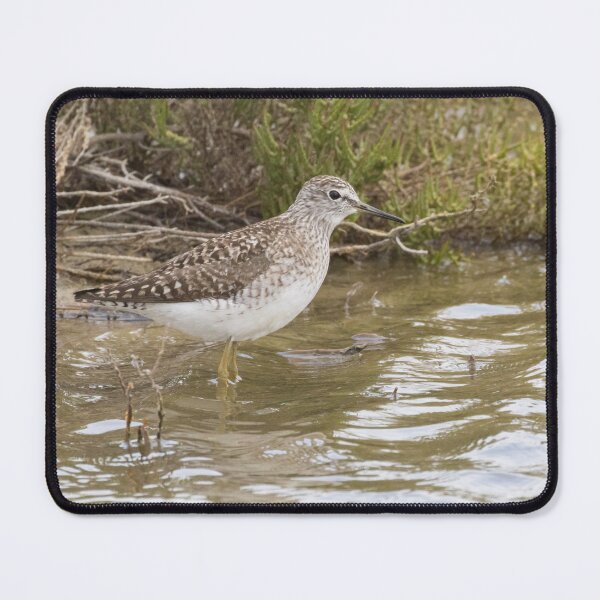 Item preview, Wood Sandpiper designed and sold by LaurenTucker.