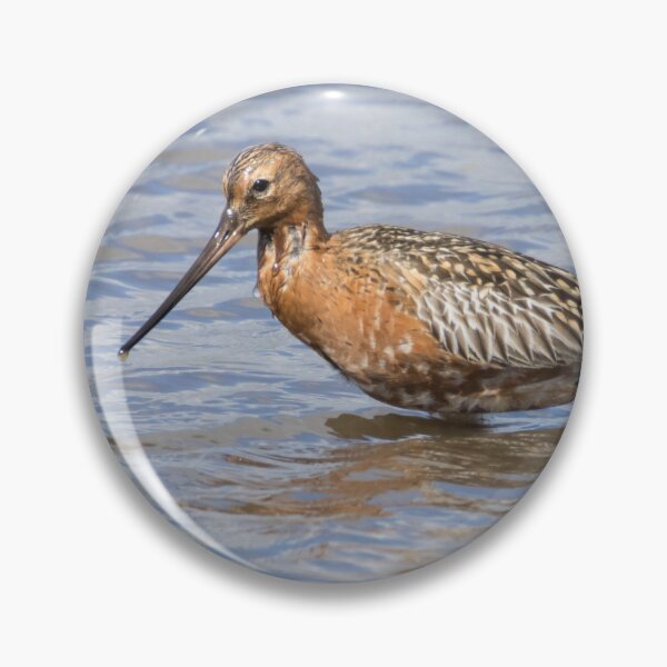 Item preview, Bar Tailed Godwit designed and sold by LaurenTucker.