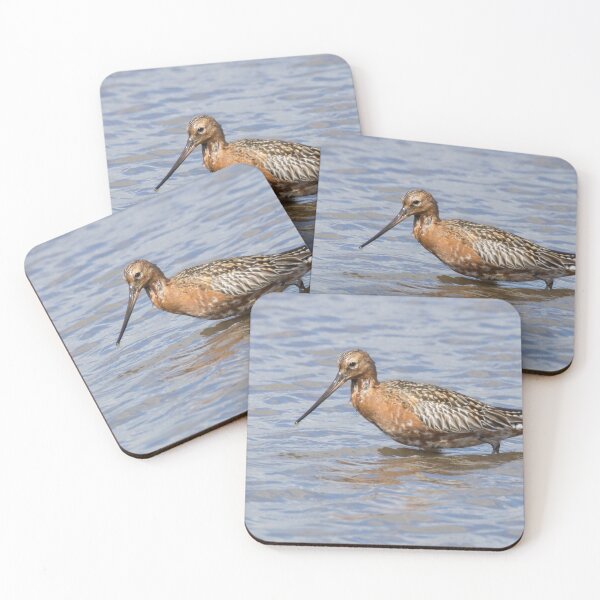 Item preview, Bar Tailed Godwit designed and sold by LaurenTucker.