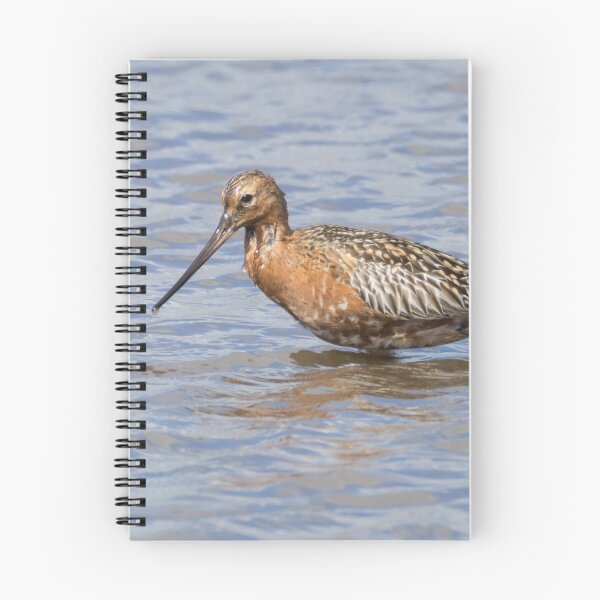 Item preview, Bar Tailed Godwit designed and sold by LaurenTucker.