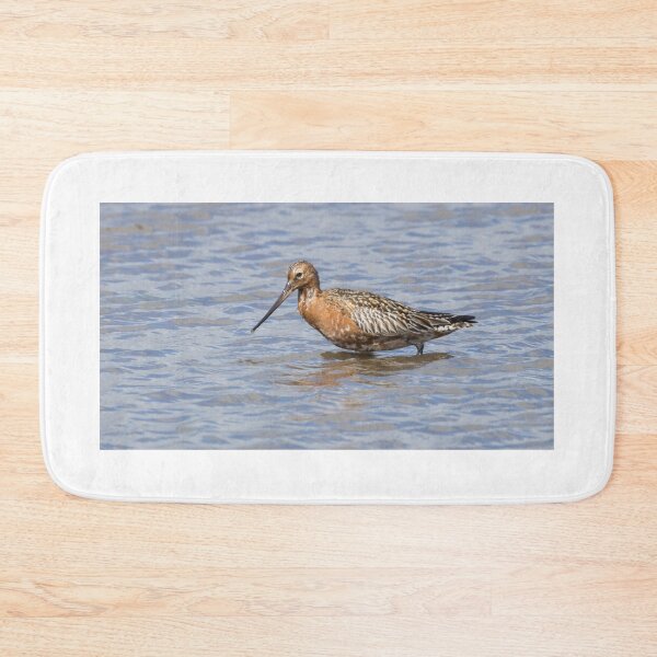 Item preview, Bar Tailed Godwit designed and sold by LaurenTucker.