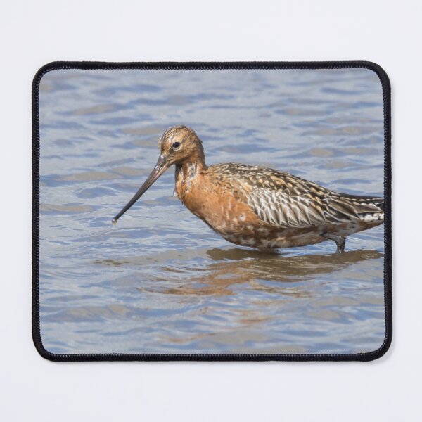 Item preview, Bar Tailed Godwit designed and sold by LaurenTucker.