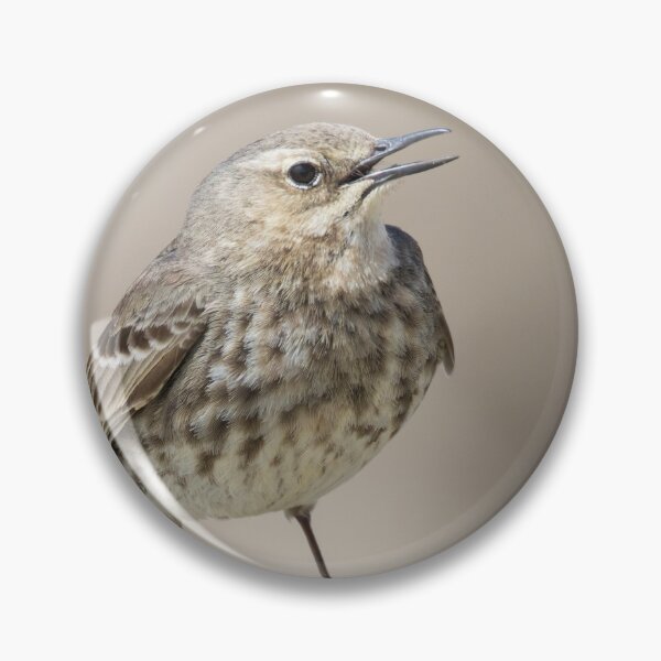 Item preview, Rock Pipit designed and sold by LaurenTucker.