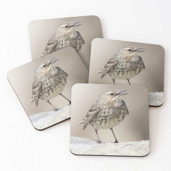 Item preview, Rock Pipit designed and sold by LaurenTucker.