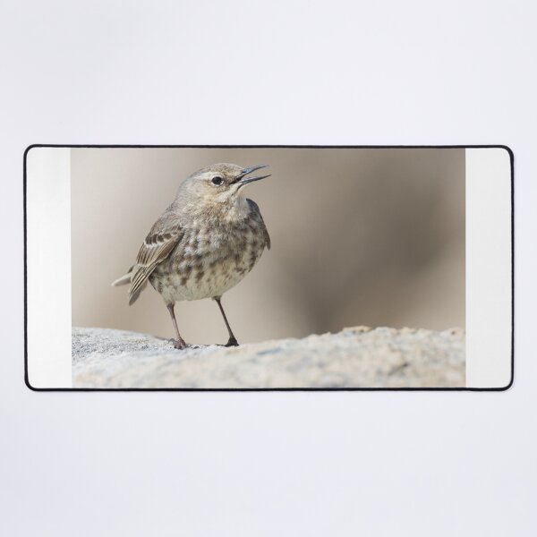 Item preview, Rock Pipit designed and sold by LaurenTucker.