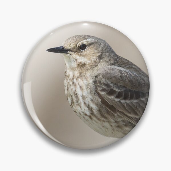 Item preview, Rock Pipit designed and sold by LaurenTucker.