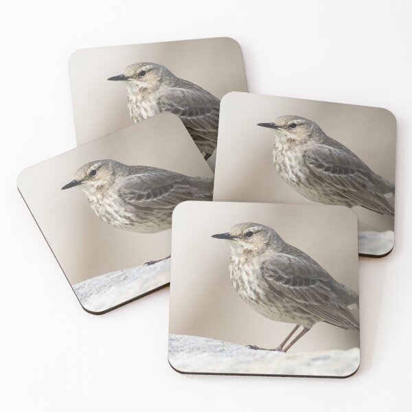 Item preview, Rock Pipit designed and sold by LaurenTucker.