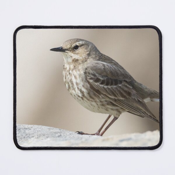 Item preview, Rock Pipit designed and sold by LaurenTucker.