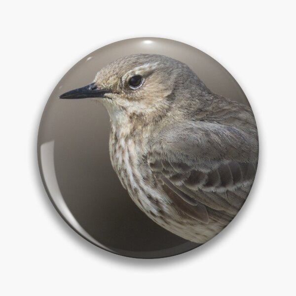 Item preview, Rock Pipit designed and sold by LaurenTucker.