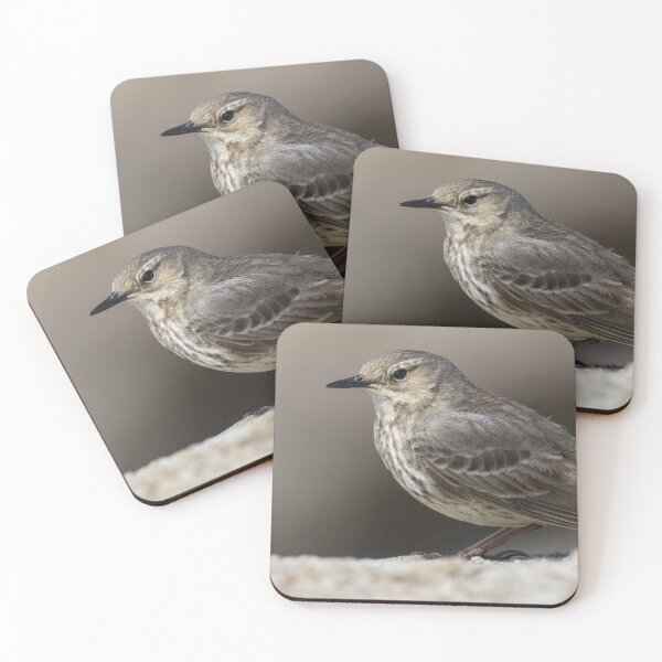 Item preview, Rock Pipit designed and sold by LaurenTucker.