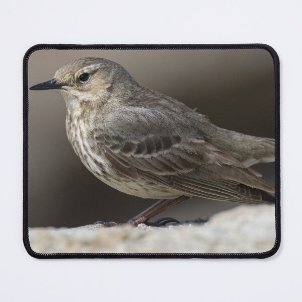 Item preview, Rock Pipit designed and sold by LaurenTucker.