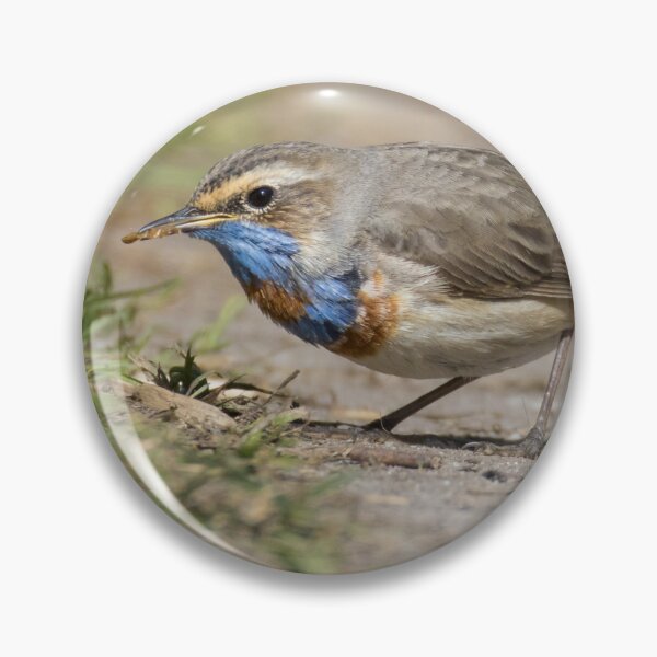 Item preview, Red Spotted Bluethroat designed and sold by LaurenTucker.