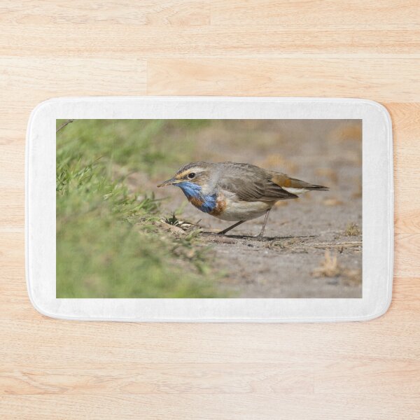 Item preview, Red Spotted Bluethroat designed and sold by LaurenTucker.