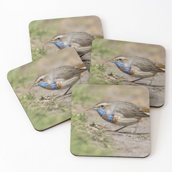 Item preview, Red Spotted Bluethroat designed and sold by LaurenTucker.