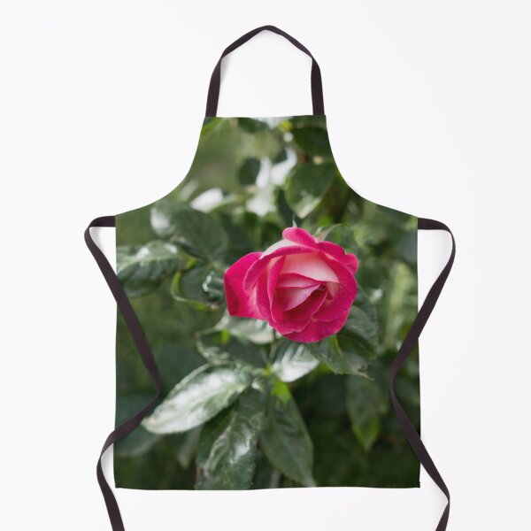 Item preview, Solitary Rosebud Unfurling in Pink and White designed and sold by Georgia Mizuleva.