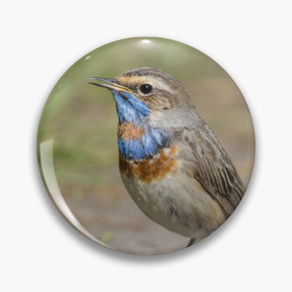 Item preview, Red Spotted Bluethroat designed and sold by LaurenTucker.