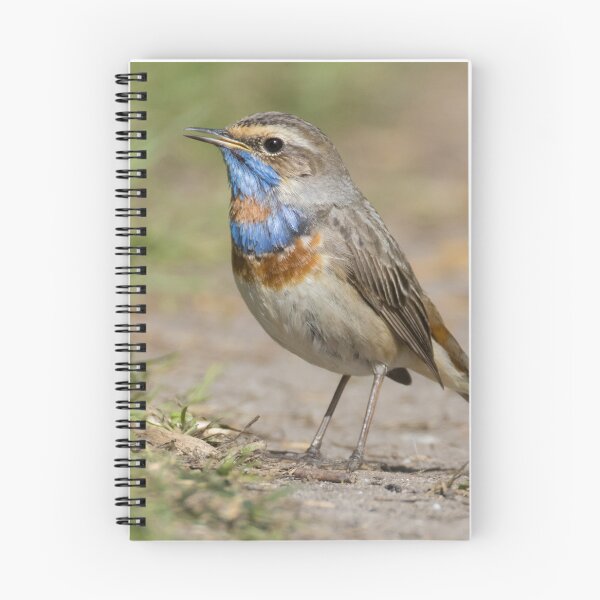 Item preview, Red Spotted Bluethroat designed and sold by LaurenTucker.