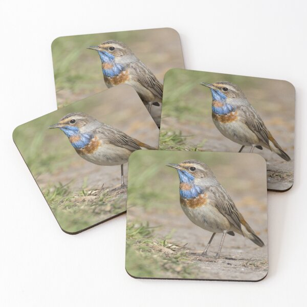 Item preview, Red Spotted Bluethroat designed and sold by LaurenTucker.
