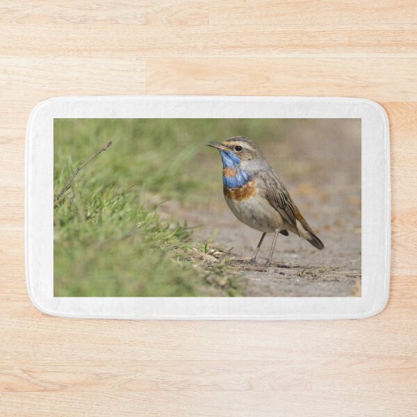 Item preview, Red Spotted Bluethroat designed and sold by LaurenTucker.