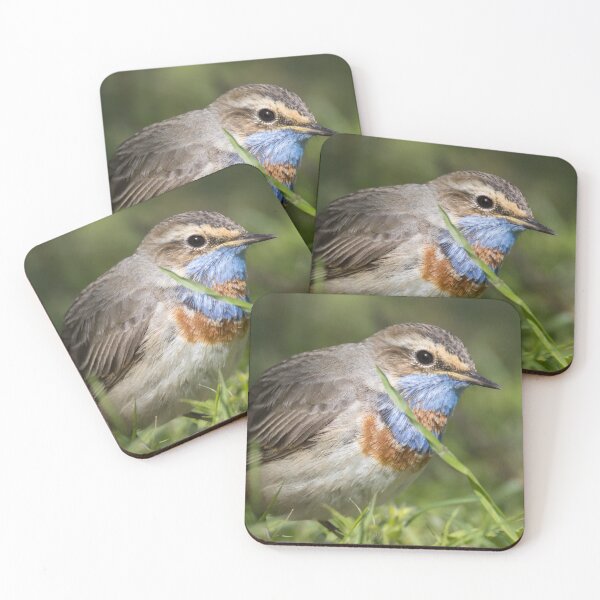 Item preview, Red Spotted Bluethroat designed and sold by LaurenTucker.