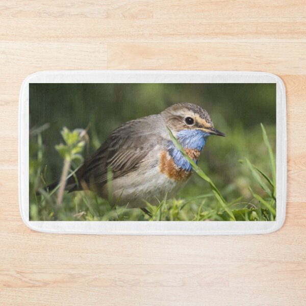 Item preview, Red Spotted Bluethroat designed and sold by LaurenTucker.