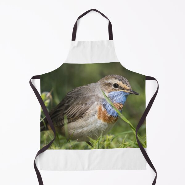 Item preview, Red Spotted Bluethroat designed and sold by LaurenTucker.