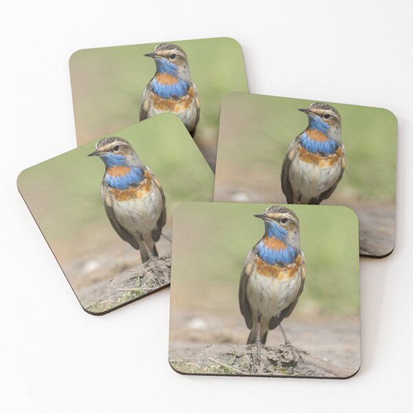 Item preview, Red Spotted Bluethroat designed and sold by LaurenTucker.