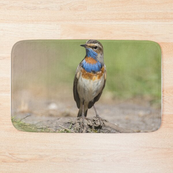Item preview, Red Spotted Bluethroat designed and sold by LaurenTucker.