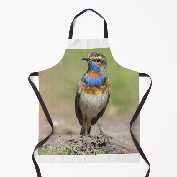 Item preview, Red Spotted Bluethroat designed and sold by LaurenTucker.