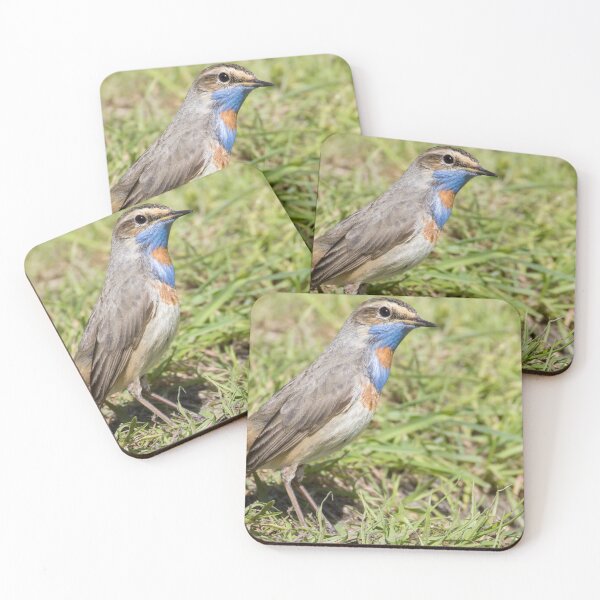 Item preview, Red Spotted Bluethroat designed and sold by LaurenTucker.