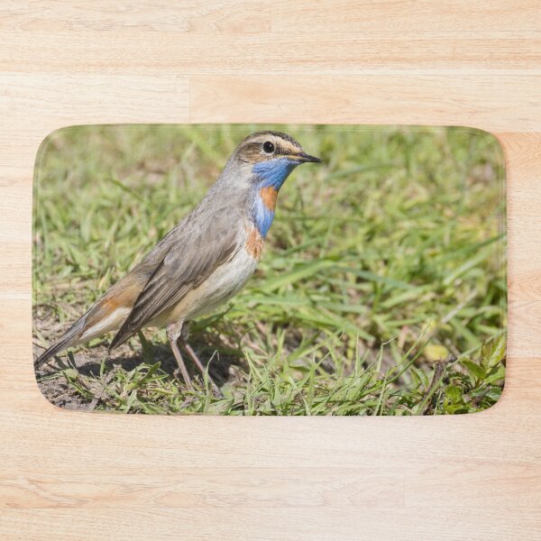 Item preview, Red Spotted Bluethroat designed and sold by LaurenTucker.