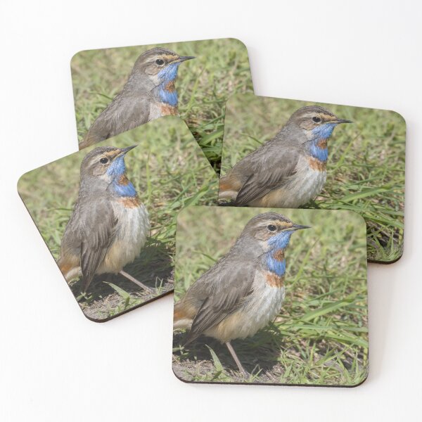 Item preview, Red Spotted Bluethroat designed and sold by LaurenTucker.