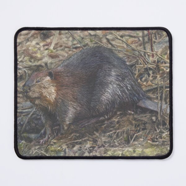Item preview, Superstar Beaver designed and sold by ISEriksonartist.